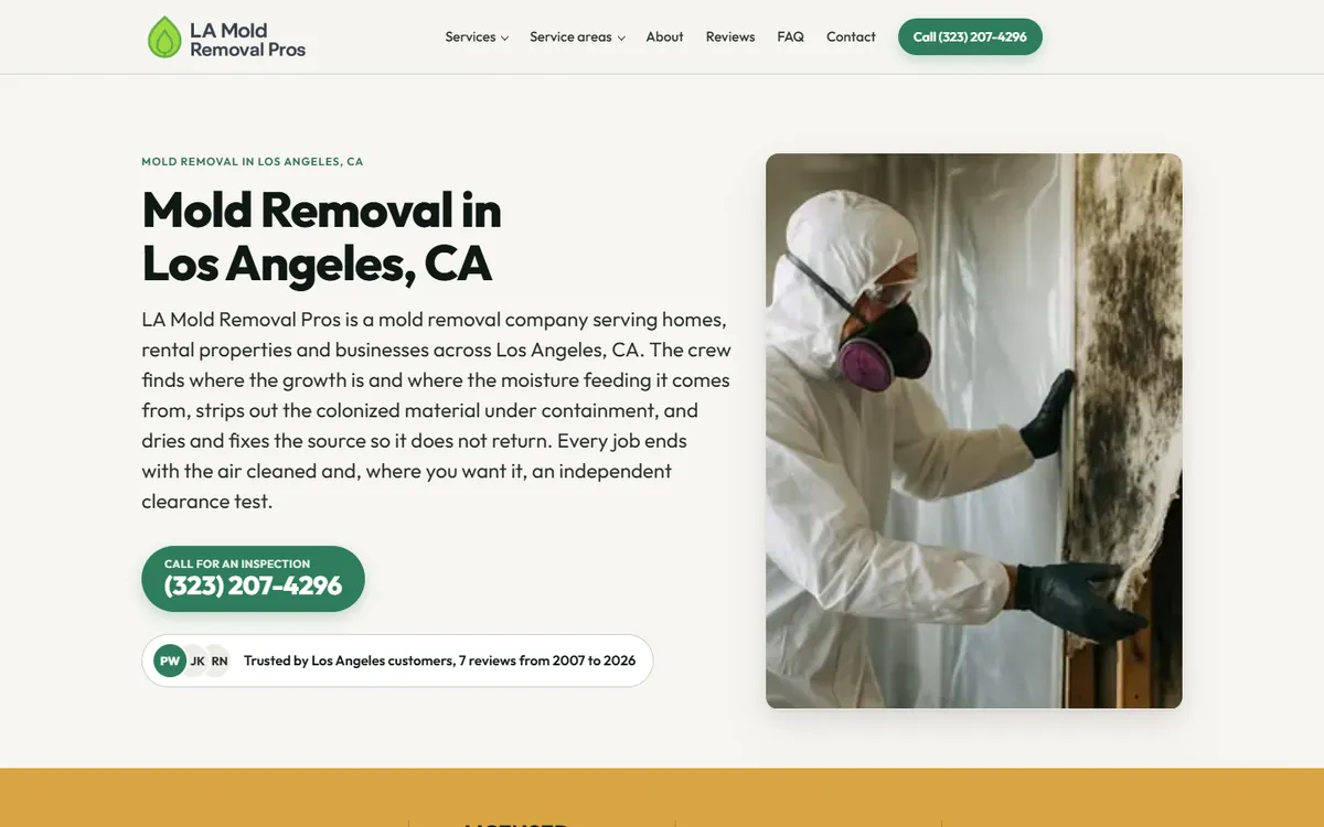 Mold removal site built by Social Prizm
