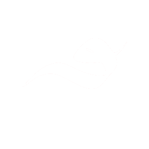 logo-vow-production