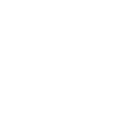 Alina-dental